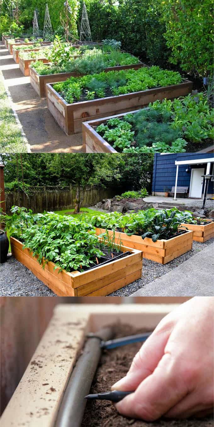 all-about-raised-bed-garden-apieceofrainbowblog (1)