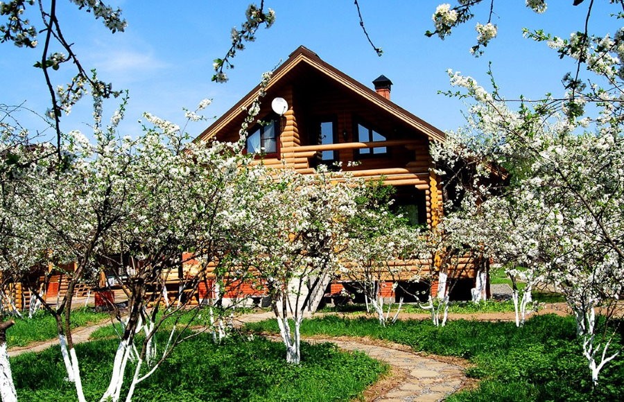Цветущий сад на участке с деревянным домом