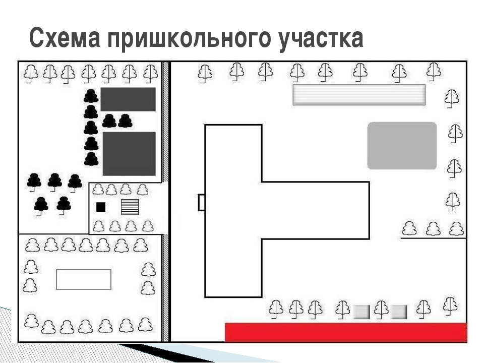 План пришкольного участка 5 класс