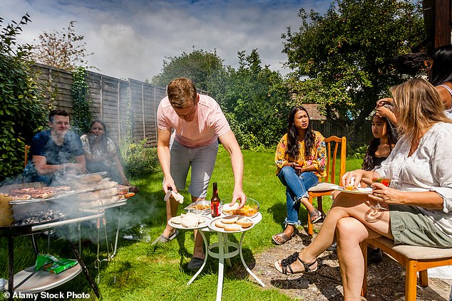 Pictured: Stock photo of a family barbecue in Sussex. There really is nothing easier than cooking outdoors on a charcoal barbecue, apart from cooking inside on an electric hob