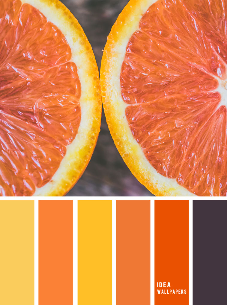 Как выглядит оранжевый цвет фото