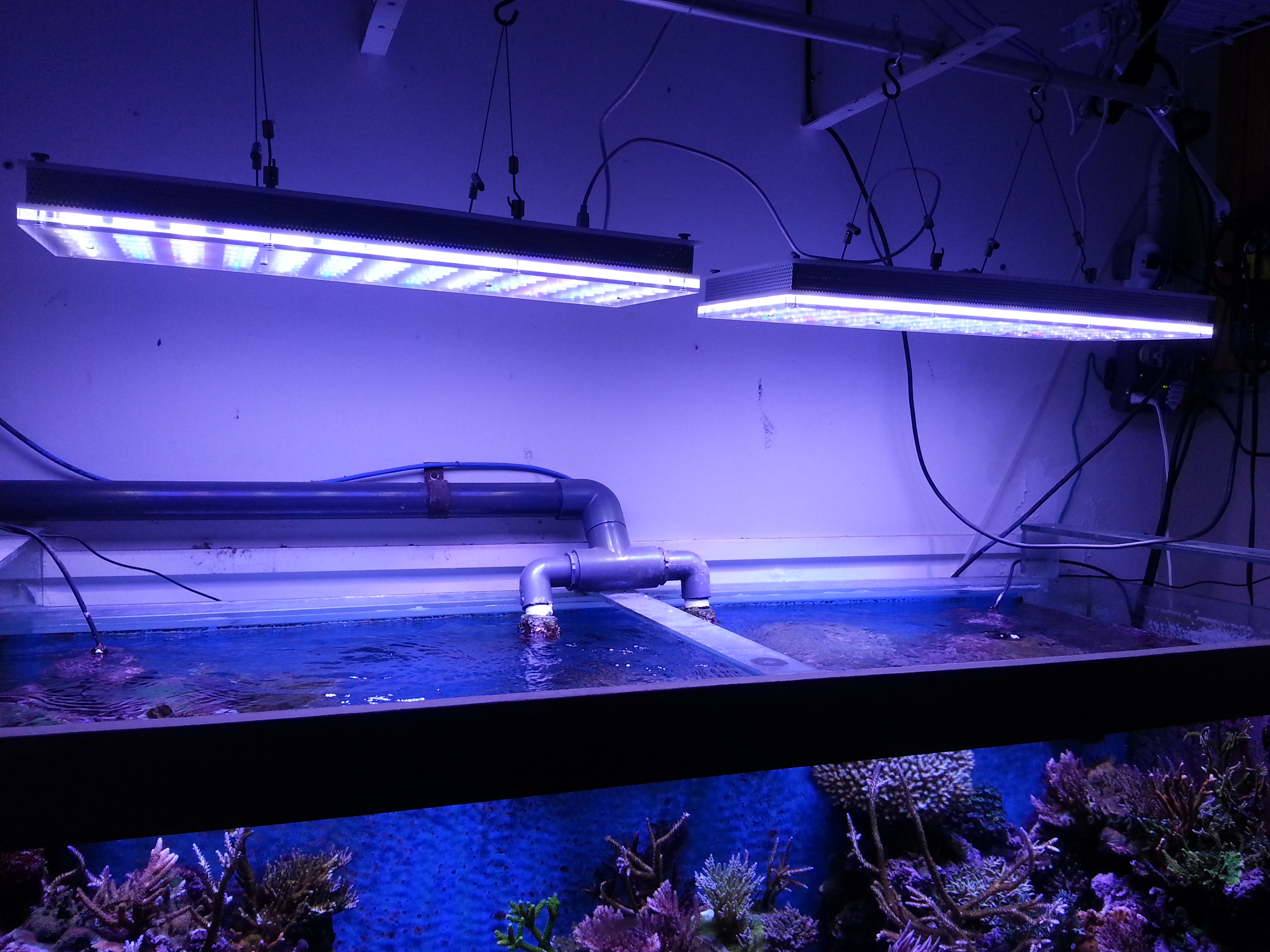 Отключили свет аквариум. Aquarium led Light ml влагозащита. Подсветка для аквариума. Лампа для аквариума. Светодиодная подсветка для аквариума.