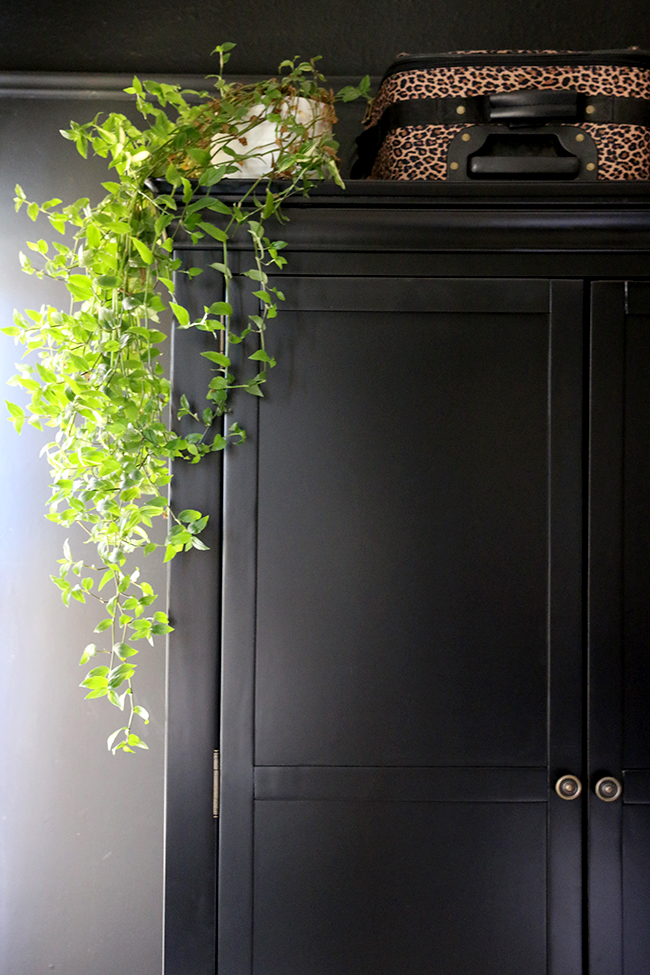 black wardrobe with hanging plant and leopard print luggage - see more on www.swoonworthy.co.uk