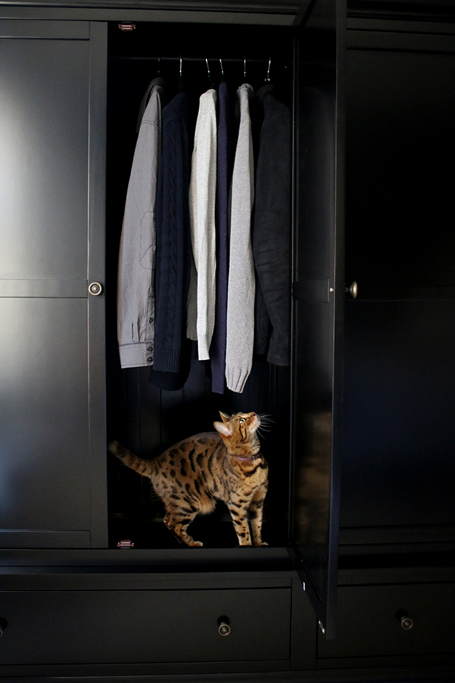 black wardrobe with bengal cat inside - see more on www.swoonworthy.co.uk