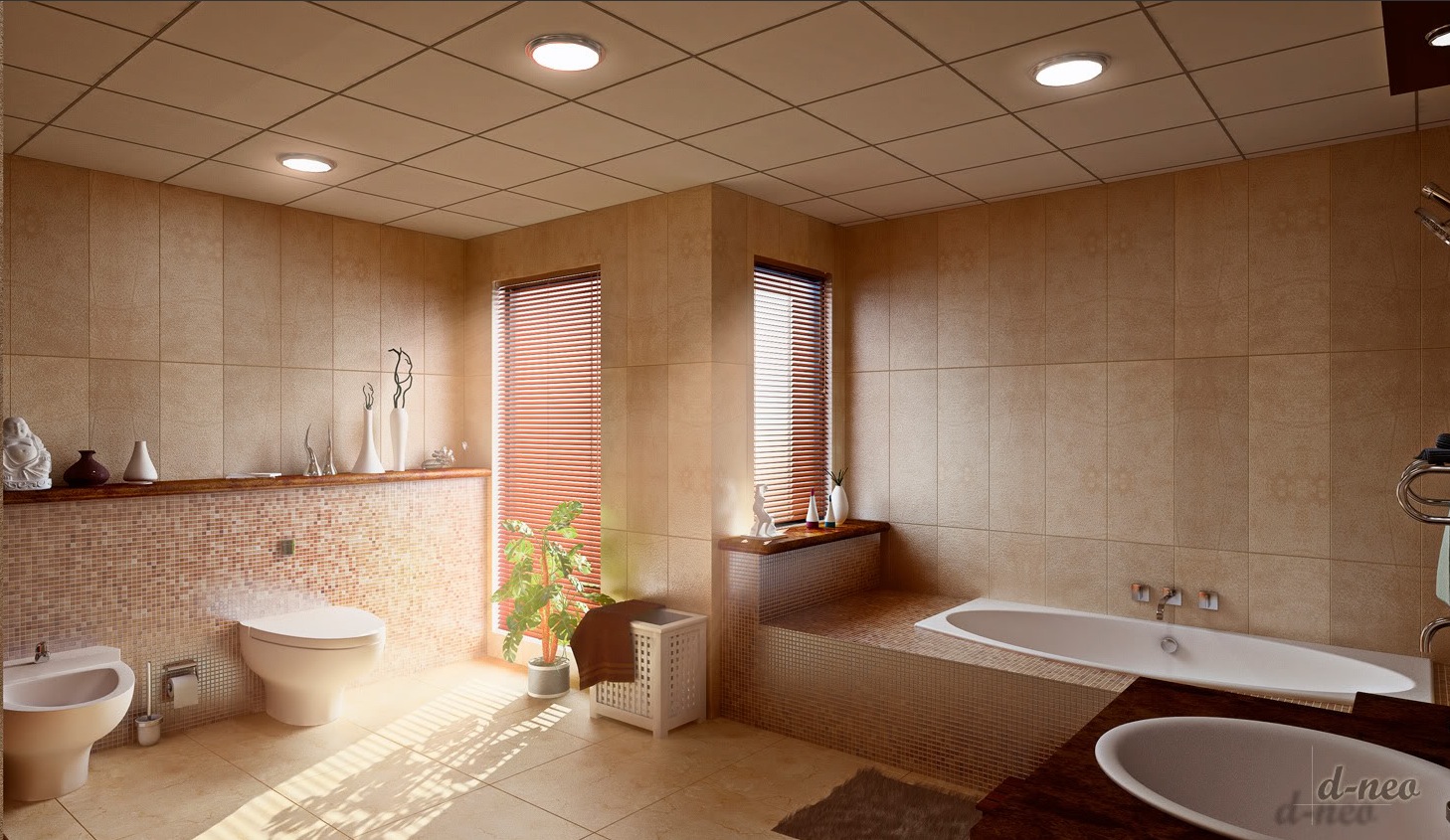 Natural Light in Bathroom