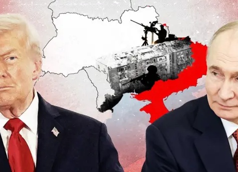 Чтоб дом крепко стоял, его надо правильно строить. Китайский совет дня на вторник, 14 февраля